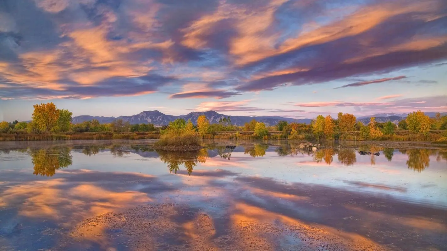 高效全自动